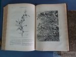 A.-E. Brehm et Paul Constantin. - Merveilles de la Nature. Les plantes. Le monde des plantes. Vol. 1 et 2.
