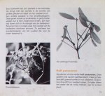 Bakker, J.H./ Polderdijk, M./ Vos, T. de/ Ruiter, F.G. eind/redactie - Parasieten/ Informatie 635