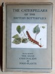 Stokoe, W.J.; Stovin, G.H.T. - The Caterpillars of the British Butterflies