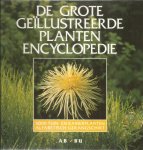 Roelofsen, H.J.  -  vertaling - De Grote Geillustreerde Plantenencyclopedie AB - BU