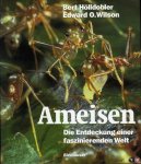 HÖLLDOBLER, Bert / WILSON, Edward O. - Ameisen. Die Entdeckung einer faszinierenden Welt