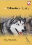 Onbekend - Siberian Husky