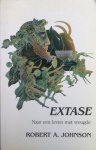 Robert A. Johnson - Extase Robert A. Johnson - Extase