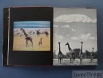 Ylla (photogr.), L. S. B. Leakey (texte) et Michel Ragon (anecdotes) - Animaux d'Afrique par Ylla.