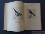 Frechkop, Serge. - Animaux proteges au Congo Belge et dans les territoire sous mandat du Ruanda-Urundi.