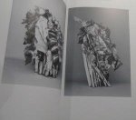 Chamberlain, John - John Chamberlain. Current works and fond memories : sculptures and photographs, 1967-1995.