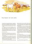 Froud . W.J.W. met Illustraties : Joan Thompson tekstbijdragen Elwyn Hartley & Bill Lithgow en Jennifer Williams - Ponies