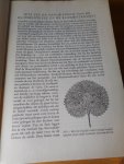 Herwig, A.J. - Ik kan planten en bloemen in huis verzorgen. Een practisch handboek tot het onderhouden van planten en het arrangeren van bloemen en bloemstukken in de kamer.