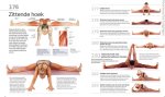 Naincy J. Hajeski - 501 Yoga oefeningen