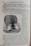Dillmont , Thérèse de .  [ ISBN   ] 2419 ( Bibliothéque D.M.C. ) - Encyclopedie des Ouvrages de Dames .