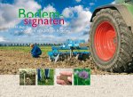 C. Koopmans - Bodemsignalen