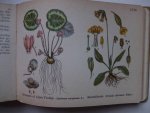 Slooten, A. van. - Kleine plantenatlas. Inleiding tot de kennis der flora van Nederland en daarbuiten.