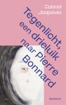 Gabriel Josipovici - Tegenlicht, een triptiek naar Pierre Bonnard
