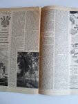 Indie Artikel - Drie man tegen Japan, Het verzet op West Java, Aflevering 7, 4pp Indie Artikel - Drie man tegen Japan, Het verzet op West Java, Aflevering 7, 4pp