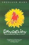 Mawe, Sheelagh M. - Dandelion