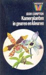 Compton, Joan - Kamerplanten in geuren en kleuren