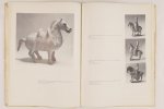 Salmony, Alfred (edit) - Sammlung J.F.H. Menten Chinesische Grabfunde und Bronzen (4 foto's)