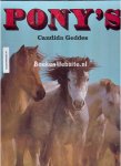 Geddes, Candida - Pony's