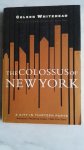 colson whitehead - the colossus of new york