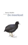 Remco Daalder 61522 - De meerkoet