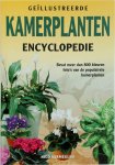 N. Vermeulen - Geïllustreerde kamerplanten encyclopedie