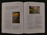 Hausen, B.M., Vieluf, I.K. - Allergiepflanzen Pflanzenallergene. Handbuch und Atlas der allergieinduzierenden Wild- und Kulturpflanzen. 2e Auflage  ( 4 foto's)
