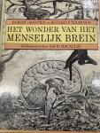 Ornstein, Robert en Thompson Richard - Wonder van het menselyk brein / druk 1