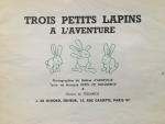 Pepin de Bonnerive, Monique, Tessarech (ills.) and d' Arneville, Helene (photography) - Trois petits lapins a l'aventure
