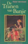 Peter Vervloed - De tranen van banjir
