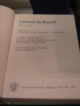 Strasburger, E & Noll, F - Lehrbuch der Botanik