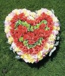 Gardner, Howard - Happy Together: New York & The Other World