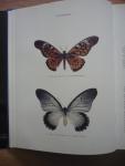 Berger,Lucien A. - Les papillons du Zaïre