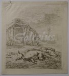 JARDIN, KAREL DU, - Three pigs in front of a pigsty