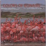 D. Winkel, B. Winkel - Colors Of Bonaire