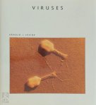 Arnold Jay Levine,  Levine, Arnold Jay Levine - Viruses