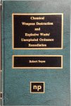 Robert Noyes - Chemical Weapons Destruction and Explosive Waste