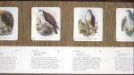 Gould, John (zie SCANS!) - Onze Vogelwereld (Vogel-Herkenningstableau naar oude lithografieën van John Gould, 1804-1881)
