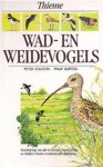 Peter Colston & Philip Burton & Arnoud B. van den Berg - Wad- en weidevogels