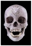 Hirst, Damien& Fuchs, Rudi& Jason Beard - For the Love of God - The Making of the Diamond Skull