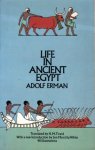 Adolf Erlman - Life in ancient Egypt