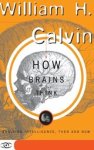 William H Calvin - How Brains Think - Evolving Intelligence, Then And Now