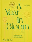 Lucy Bellamy - A Year In Bloom