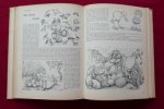 Red: Fennema-Zboray, I.M. - Kiris kras. Jan Plezier - de tweede