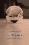 Tineke Meijer 289615 - Wilde wolken