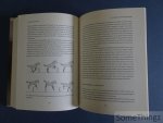 Budiansky, Stephen. - De aard van het paard. Een onderzoek naar de evolutie, de intelligentie en het gedrag van paarden.