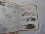 Kitzelman Kerry, Steve Parish - How to Draw Australian Wildlife