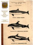 Deinse, A. B. van - Jaaroverzichten strandingen cetacea 1942-1951