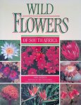 Rourke, J.P. (revised by) - Wild Flowers of South Africa - New Edition