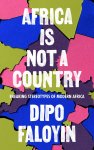 Faloyin, Dipo - Africa Is Not A Country Breaking Stereotypes of Modern Africa