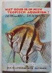 Nes J G Th van en Scheffel J H, ill. Ruting Jos - Wat houd ik in mijn tropisch aquarium ?